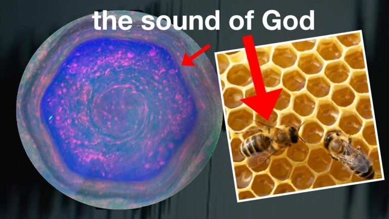 The Divine Sound that Transforms every cell in your body (the sound of God).