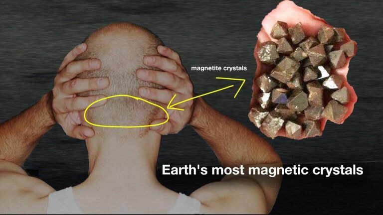 Crystals discovered in the human brain are able to decode all frequencies.
